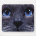 blueyes mousepads