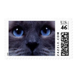 blueyes postage stamps