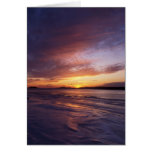 Bluff Point Winter Sunset Cards