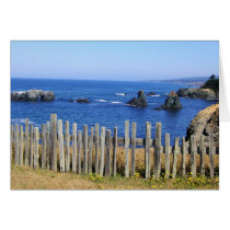 Blufftop Trail cards