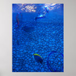 Blugamu Posters