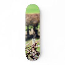 Blury Hedge skateboards