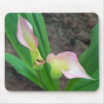 Blush Calla Lily Mouse Mats