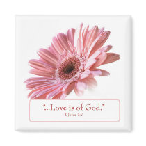 "Blush" Daisy Magnet
