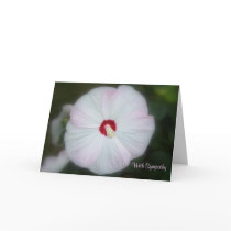 Blush Hibiscus Card