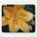 blush lily mousepad