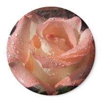 Blush ~Magnet