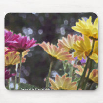 Blush mousepads