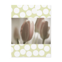 Blush Nude Tulips, polka dots, cards template Postcards