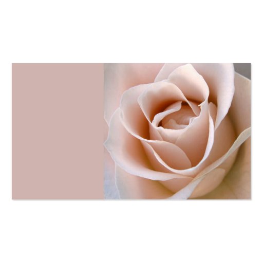 Blush Pink Rose Business Card (back side)