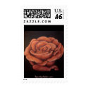 Blush  - Postage Stamp