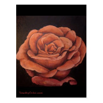 rose, flower, blush, postcard, fine art, flora, floral, love, plants, roses, painting, Postcard with custom graphic design