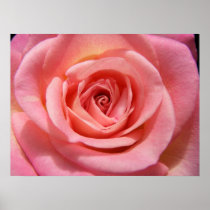 Blush Poster