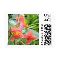 BLUSH SNAPDRAGONS postage