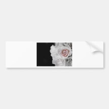 Blushed Rose Bumper Sticker