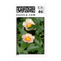 blushing bride postage postage