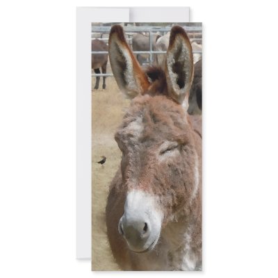 Blushing Burro - Kids Bookmarks School Supplies Rack Card by She_Wolf_Medicine