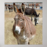 Blushing Burro & Wild Birds - Kids & Animal Lovers Print