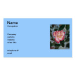 Blushing Delight Business Cards