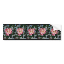 Blushing Delight Rose Bumper Sticker