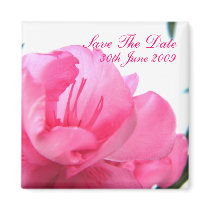 Blushing Pink - Save The Date magnets