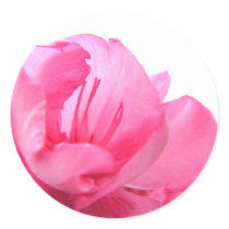 Blushing Pink stickers