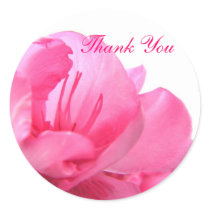 Blushing Pink - Thank You stickers