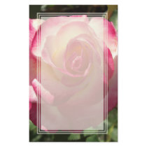 Blushing Rose Blank Stationery by wingedturtle Blushing Rose Blank Stationery