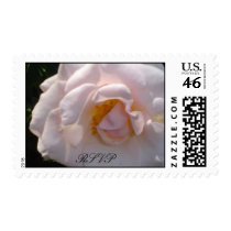 Blushing Rose postage