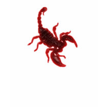 Blushing Scorpio t-shirts
