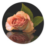Blushing Serenade Sticker