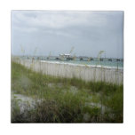 Blustery Day at the Beach Tiles
