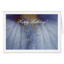 BLYE Blue and Yellow Iris Cards