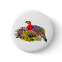 Blyth's Tragopan or Grayed-bellied Tragopan Pin