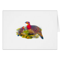 Blyth's Tragopan or Grayed-bellied Tragopan Greeting Cards