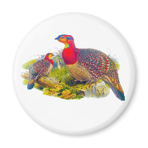 Blyth's Tragopan or Grayed-bellied Tragopan Magnets