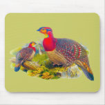 Blyth's Tragopan or Grayed-bellied Tragopan Mousepad