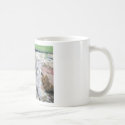 BM2 mugs by cozykittens BM2 mugs