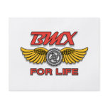 BMX for life flyers