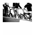 bmx (light) t-shirts