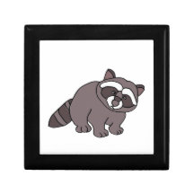 BN- Funny Raccoon Gift Box