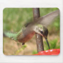 BN- Hummingbird Mousepad by patcallum BN- Hummingbird Mousepad