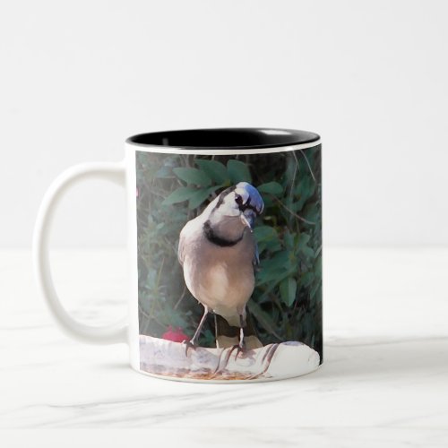 BN- Mockingbird and Blue jay mug mug