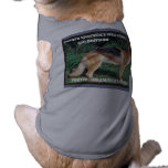 BNI K9 CAAN DOG CLOTHES