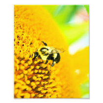 BNo4: Bee-licious Number 4 Photo Print