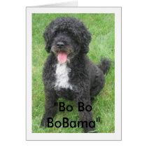 "Bo Bo BoBama" cards