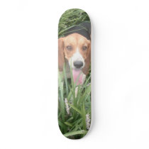 Bo Dog Skate Board Decks