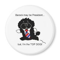 Bo is Top Dog Magnet