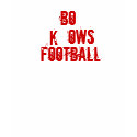 BO KNOWS FOOTBALL t-shirts