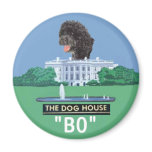 BO Magnet
